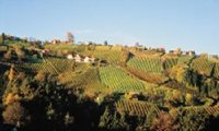 Steirisches Weinland